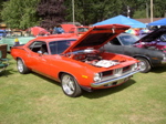 P1010027.JPG